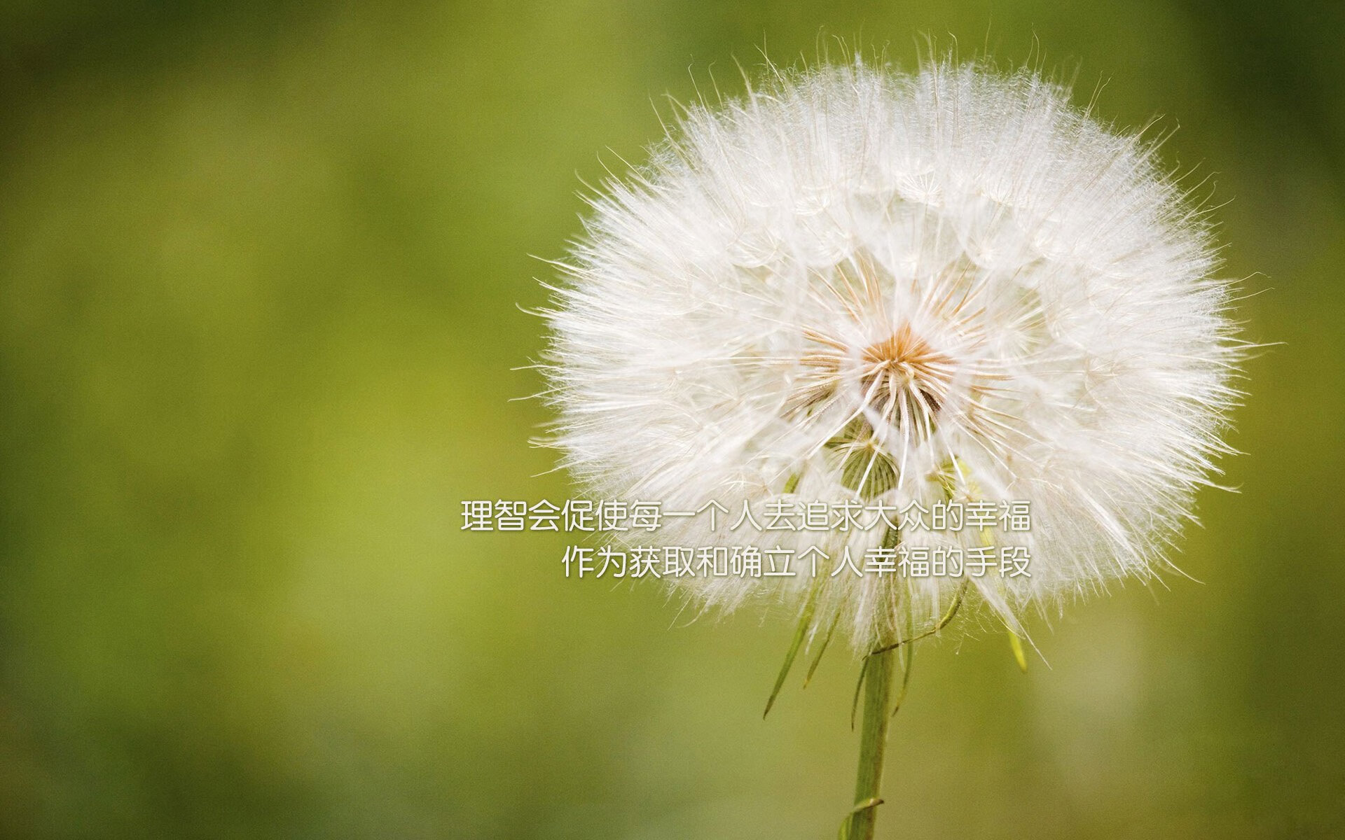 OG·阿努诺比在NBA常规赛中展现防守强度，阿努诺比数据
