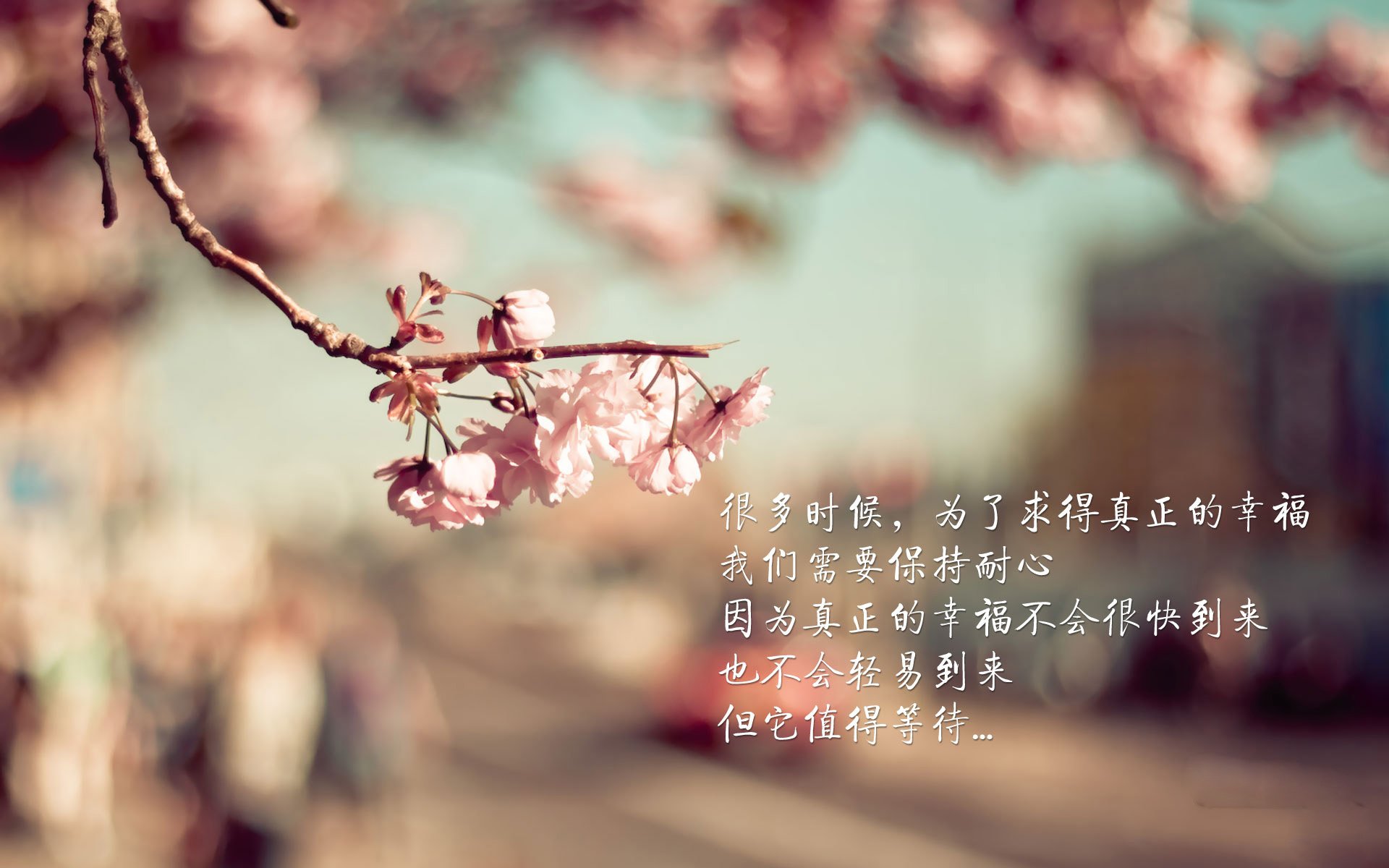 NBA联盟裁判判罚公正性研究与改进措施，nba裁判权利