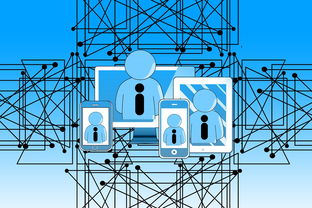 爱游戏体育（AYX）官方APP下载-中国青少年篮球发展政策实施与推广策略，青少年篮球发展现状及对策研究