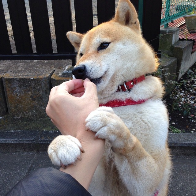 全国青少年长跑锦标赛在成都成功举办，2020年全国青少年锦标赛规程