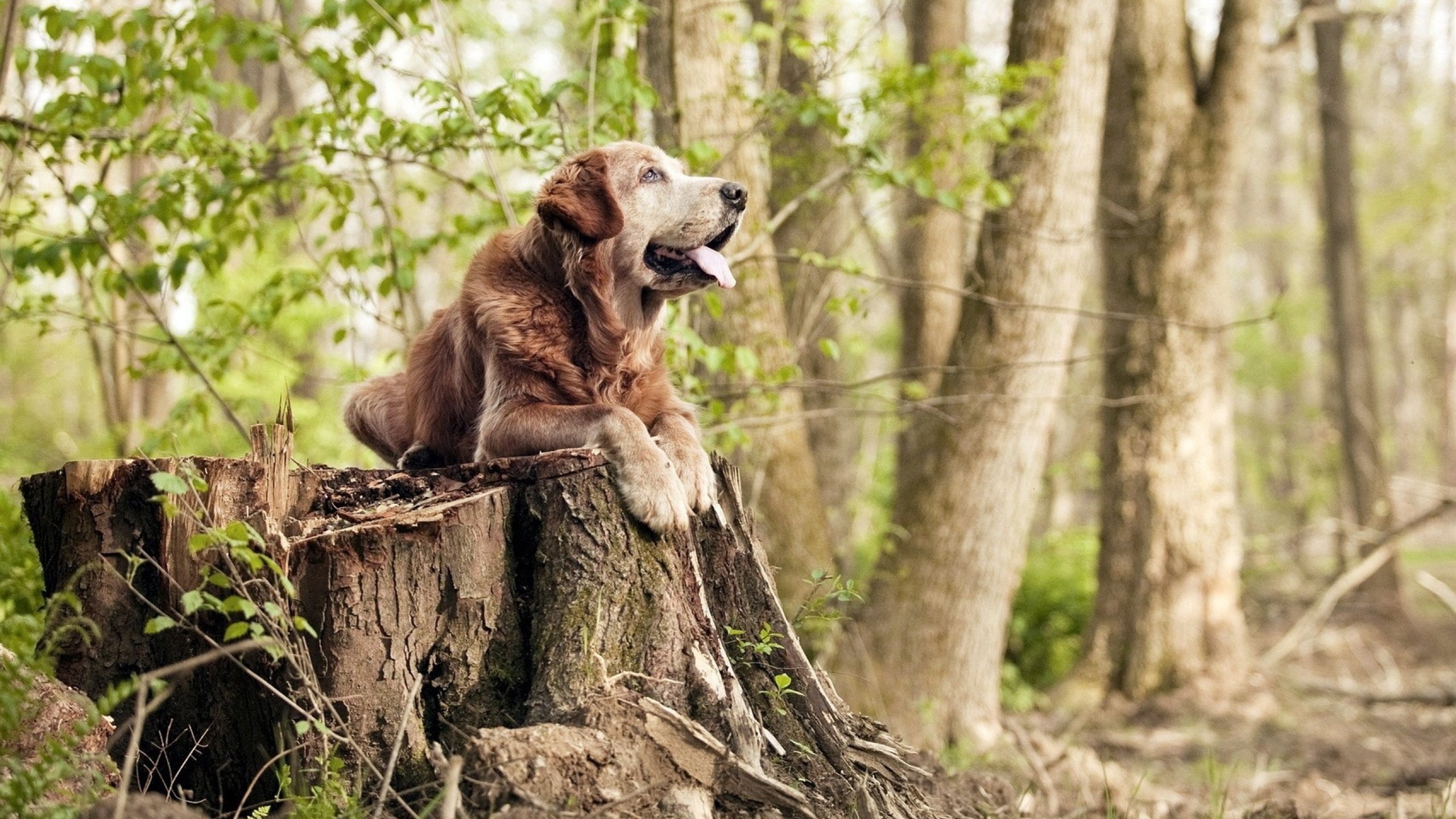 AYX SPORTS-国家队备战缺少科学训练方案，国家队备战缺少科学训练方案是什么