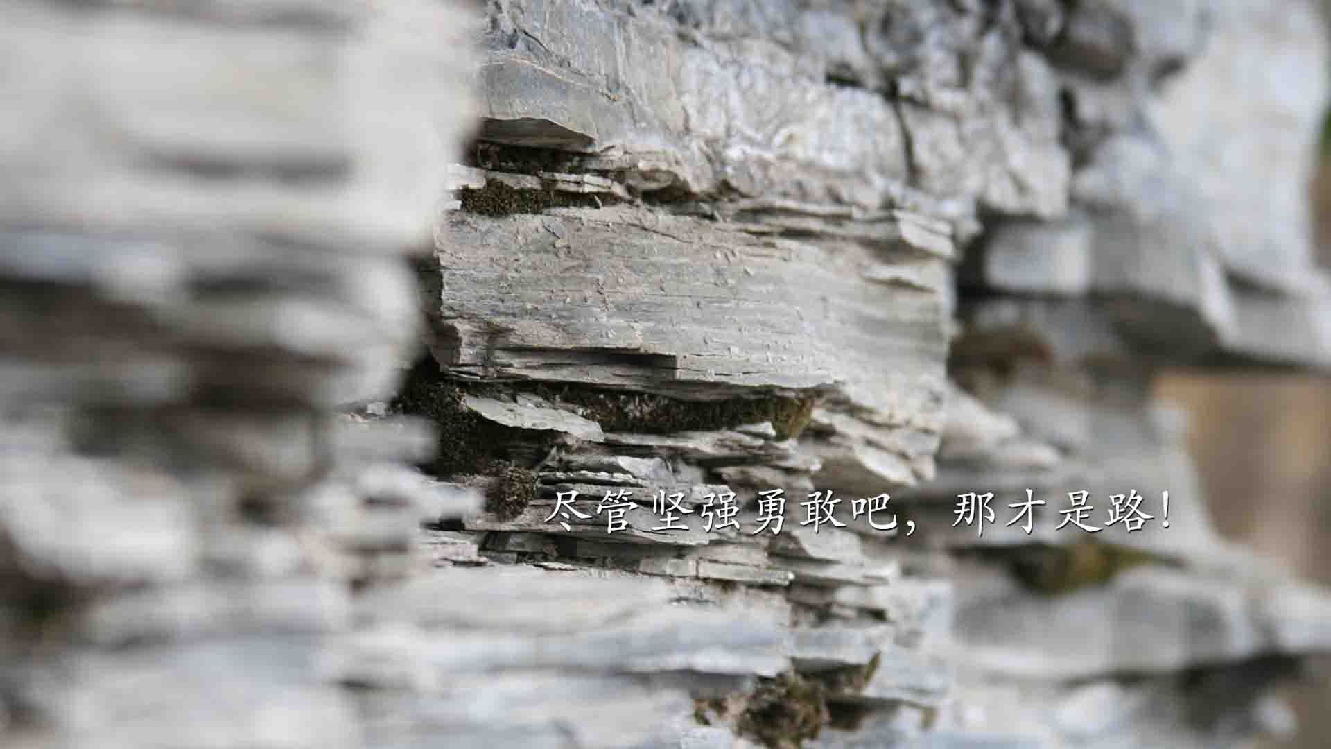 爱游戏体育-排球超级联赛季后赛对阵揭晓，2020-2021排超联赛最佳阵容