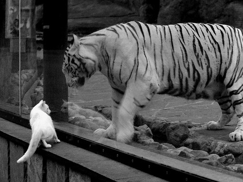 校园足球联赛启动基层青训营选拔工作展开，2020足球青训选拔