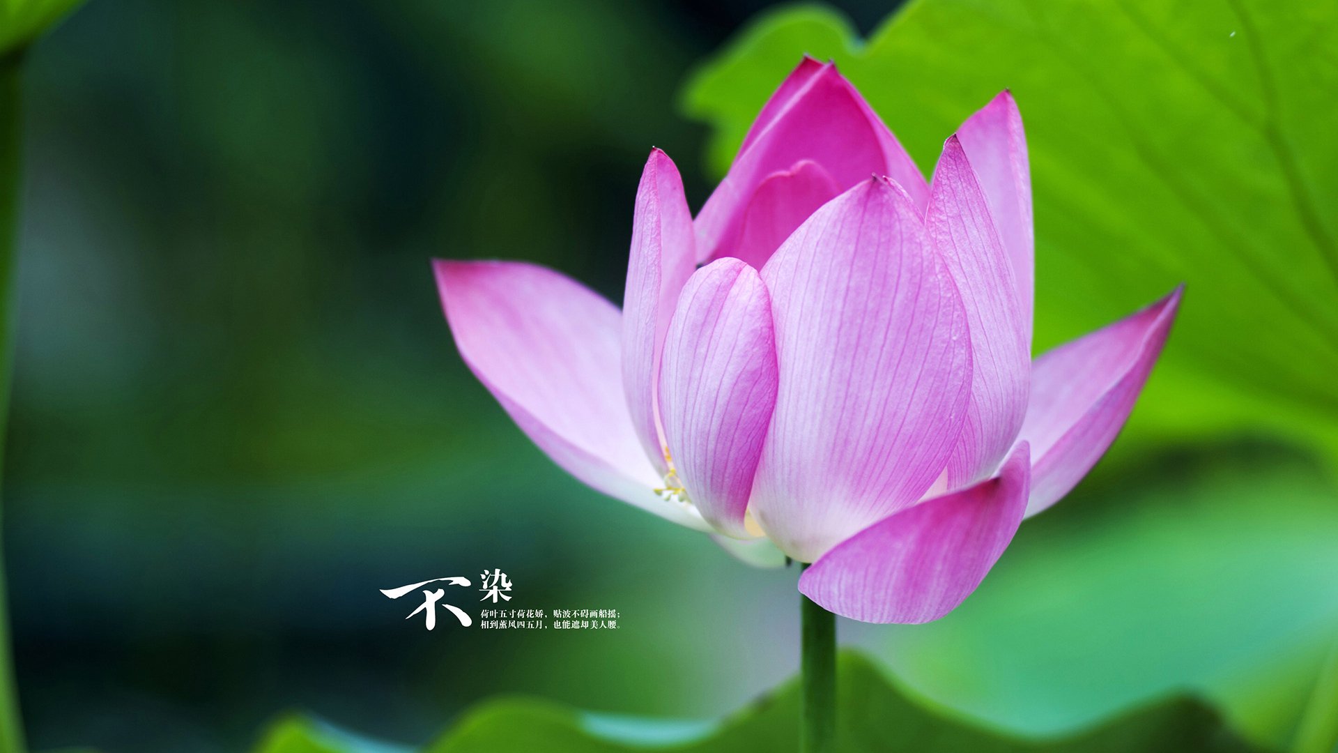 马拉松赛事组织更加规范，马拉松比赛组织