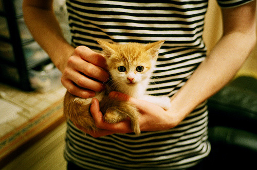 马刺二队球员获得首次参与主队训练机会，马刺二队球员获得首次参与主队训练机会